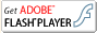 ADOBE FLASH PLAYER